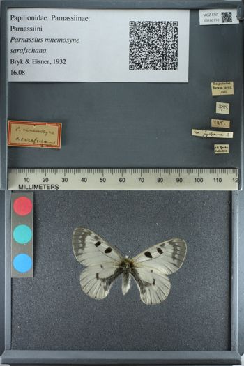 Media type: image;   Entomology 180110